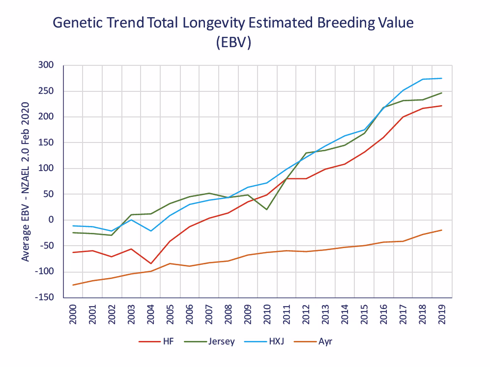 LIC Genetic trends NZ dairy cow longevity