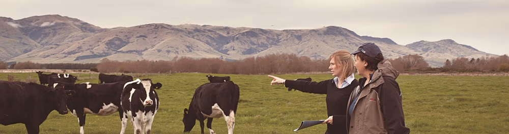 Evaluating Dairy Herd