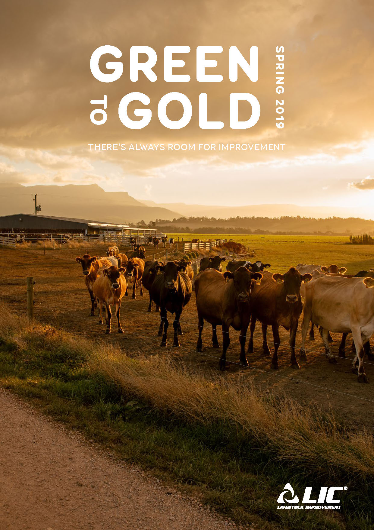 Australian Dairy Farming Magazine Green to Gold From LIC Australia
