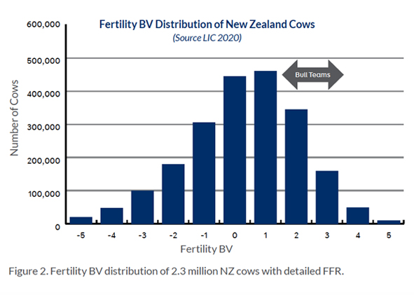 Dairy cow Fertility BV distribution