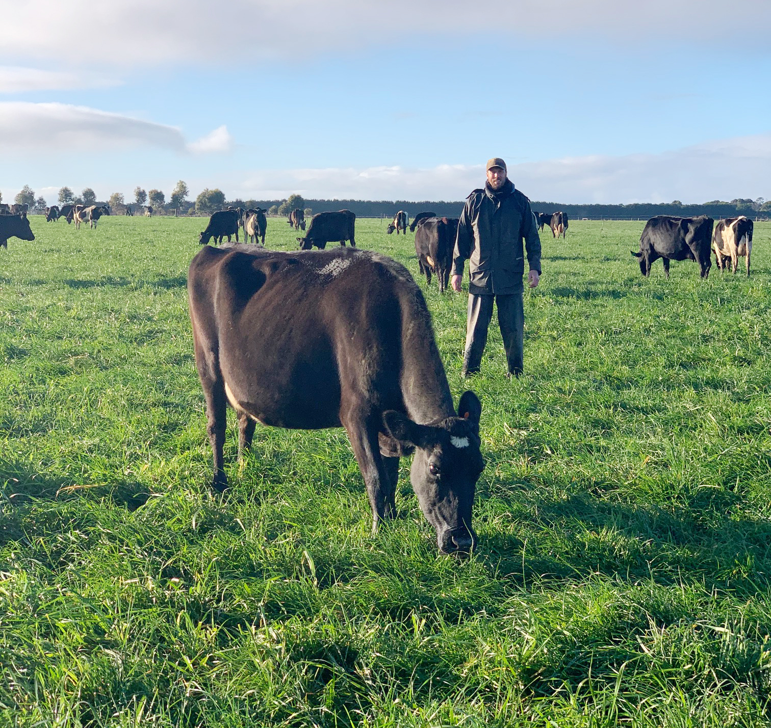 Australian Dairy Farmer Paul Hinkley