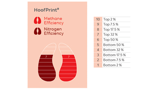 LIC_HoofPrint_Index