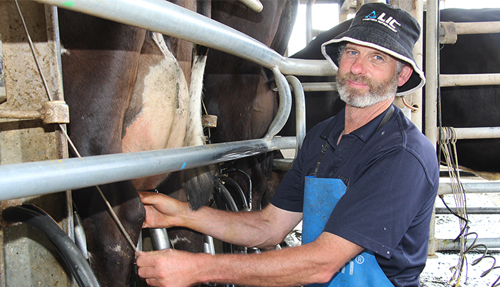 Warren_Martin_milking_Victoria