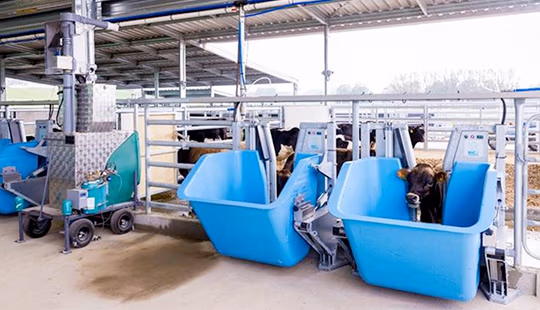 LIC methane trial focuses on breeding environmentally friendly cows