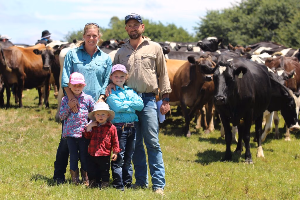 The Jennings' find success on the family dairy farm in Gippsland by feeding their cows well and applying fertiliser
