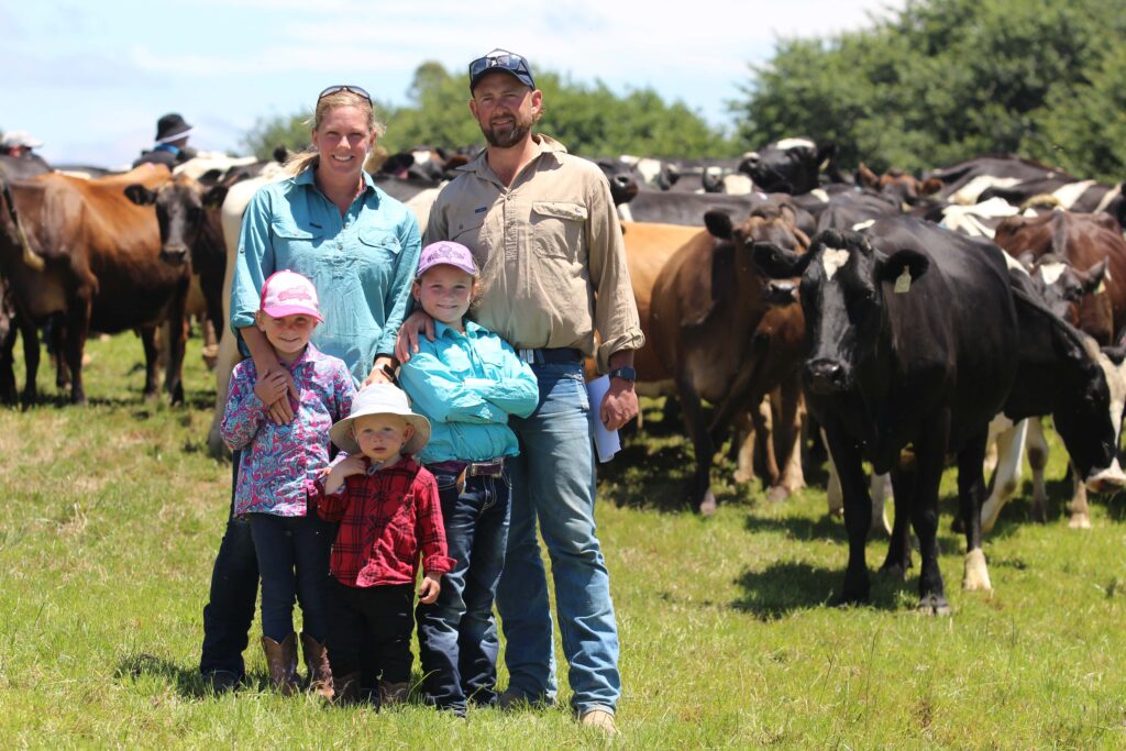 The Jennings' find success on the family dairy farm in Gippsland by feeding their cows well and applying fertiliser