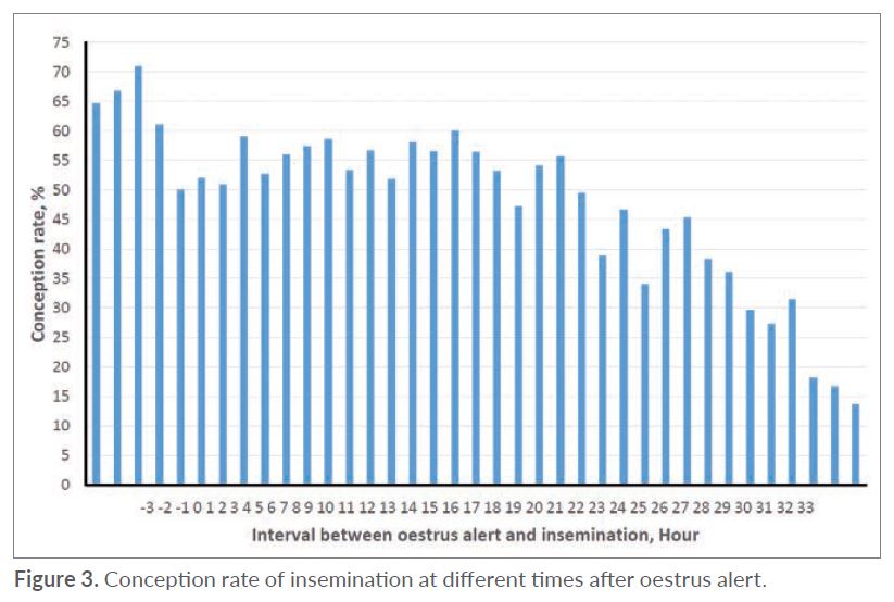 Interval between oestrus alert and insemination - conception rate