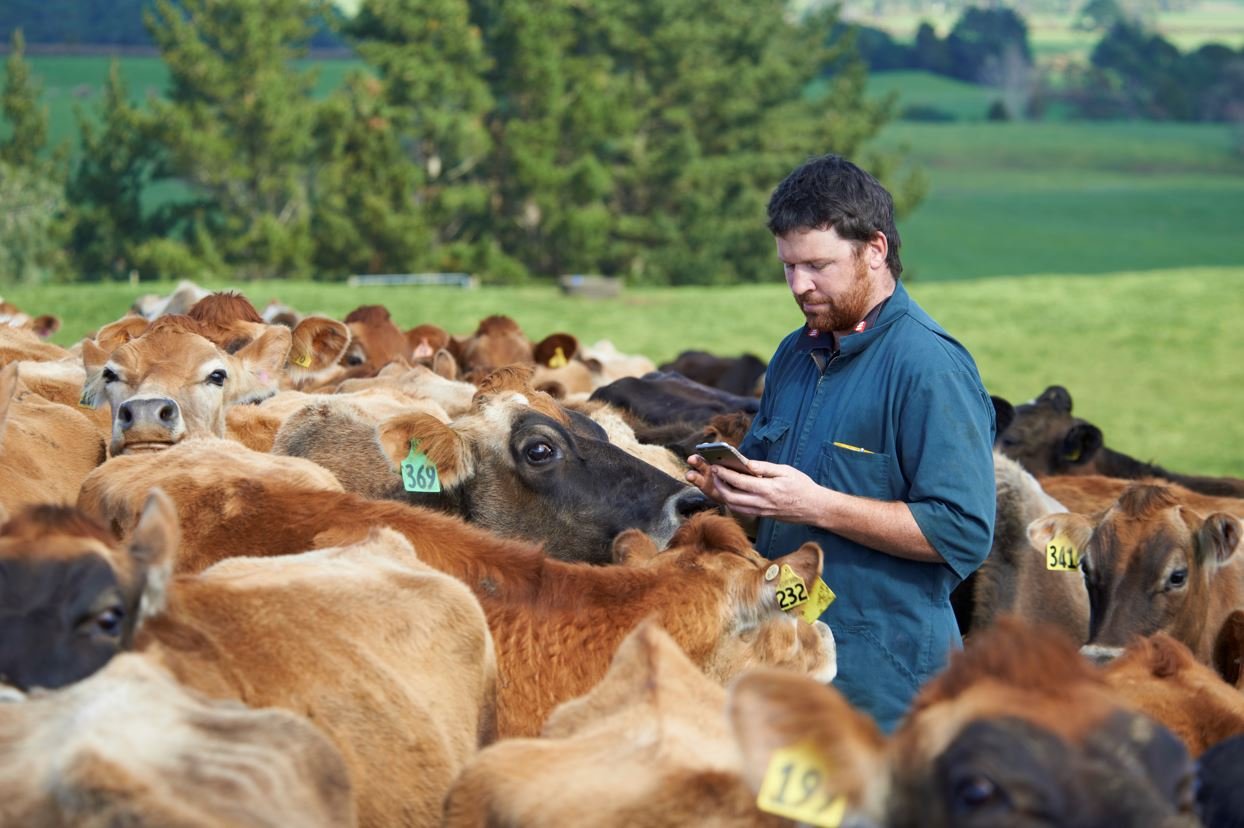 NZAEL changes December 2021