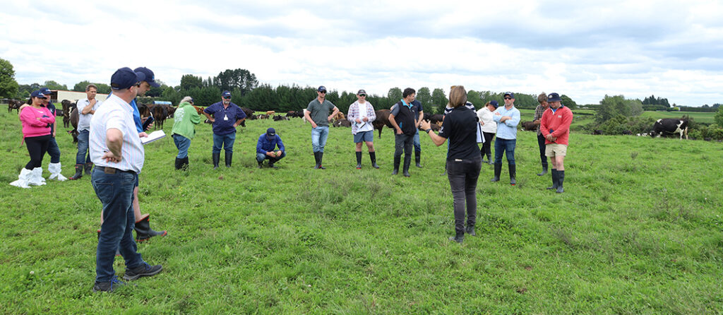 LIC Australia dairy farmers visit Owl Farm