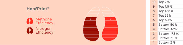 Hoofprint index ranking system
