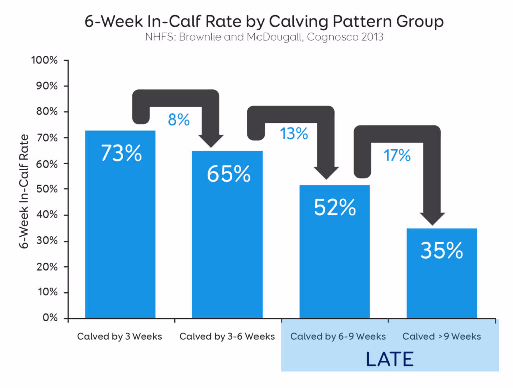 6-Week In-Calf Rate by Calving Pattern Group v2