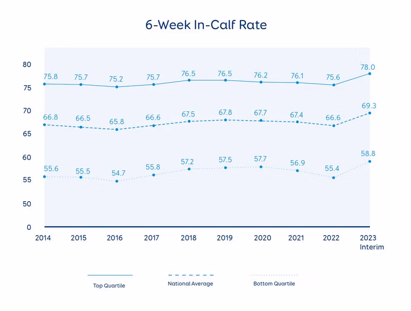 NZ 6 week in-calf rate