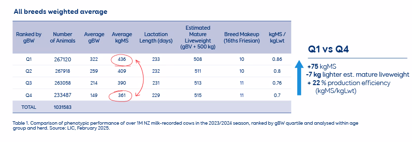 Comparison of phenotypic performance of over 1M NZ milk-recorded cows in the 2023/2024 season, ranked by gBW quartile and analysed within age group and herd. Source: LIC, February 2025.