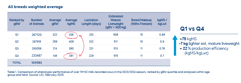 Comparison of phenotypic performance of over 1M NZ milk-recorded cows in the 2023/2024 season, ranked by gBW quartile and analysed within age group and herd. Source: LIC, February 2025.