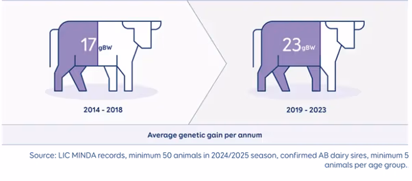 NZ cows average genetic gain per year
