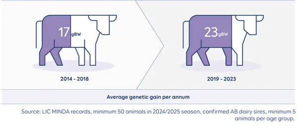 NZ cows average genetic gain per year