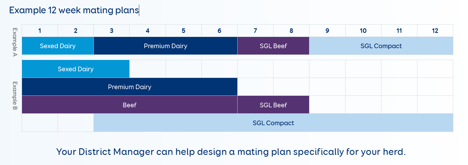 Example 12 week mating plans