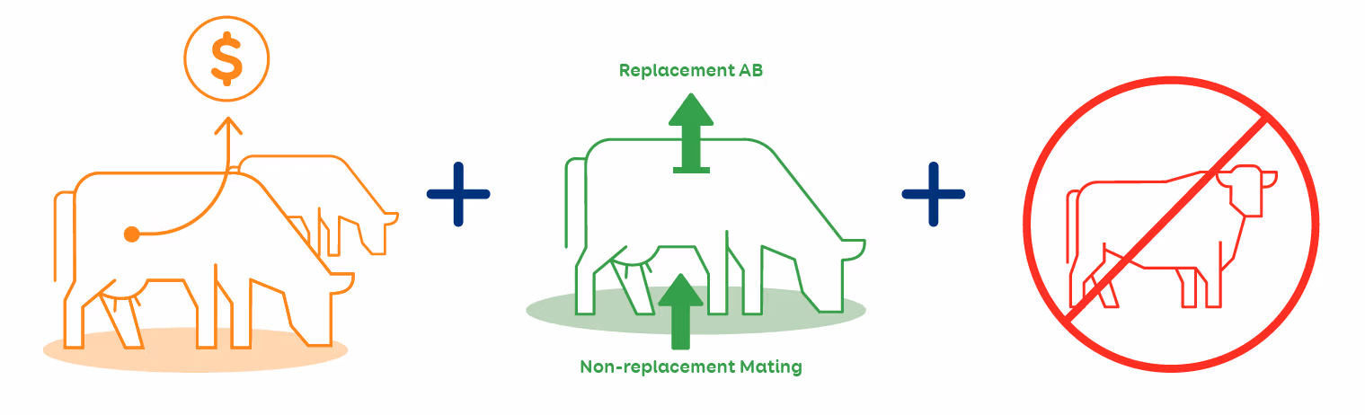 With more days in milk, better cow fertility and not managing natural mating bulls, the benefits of SGL Compact™ semen continue to add up.