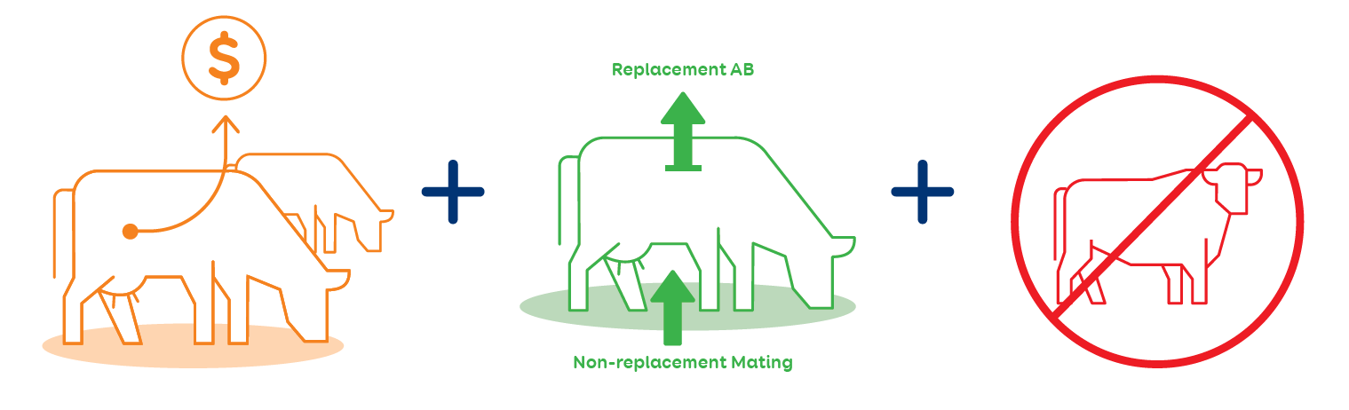 With more days in milk, better cow fertility and not managing natural mating bulls, the benefits of SGL Compact™ semen continue to add up.