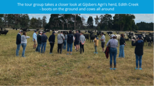Gijsbers Agri - a stop on LIC's Tasmania farmer tour