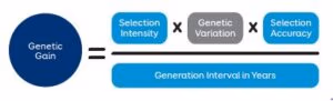 The genetic gain formula