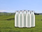 More days in Milk with SGL Compact ®