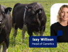 IZZY WILLISON - Head of genetis